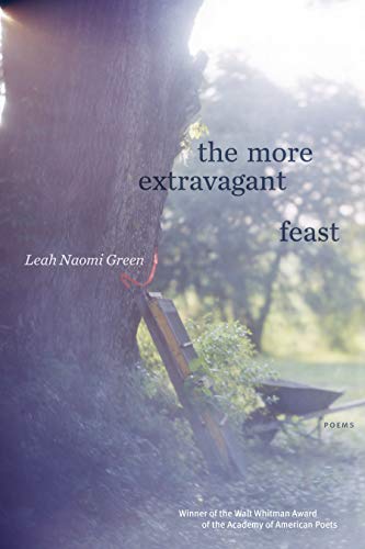 The More Extravagant Feast: Poems