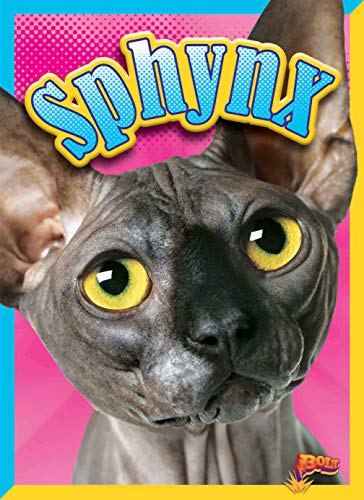 Sphynx (Cat Stats)
