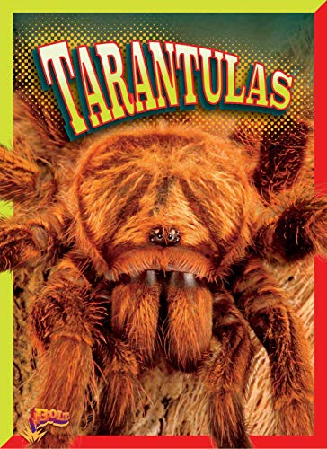 Tarantulas (Creepy Crawlies)