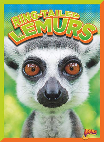 Ring-Tailed Lemurs (Wild Animal Kingdom)