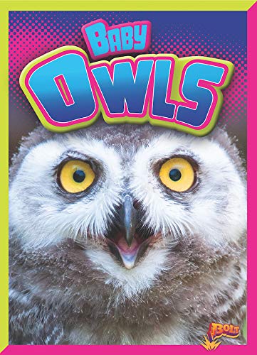 Baby Owls (Bolt, Adorable Animals)