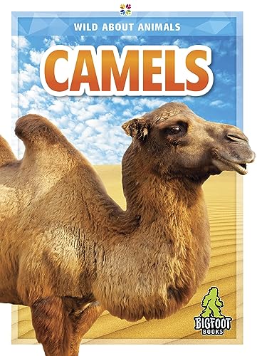 Camels (Wild About Animals)
