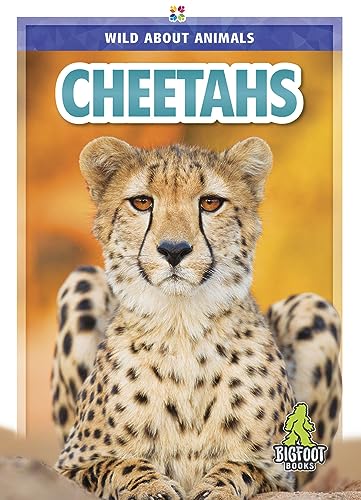 Cheetahs (Wild About Animals)
