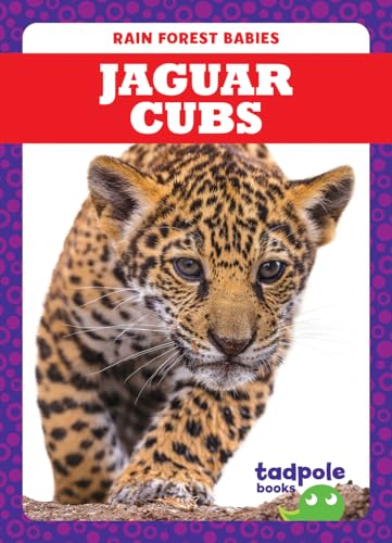 Jaguar Cubs (Tadpole Books, Rain Forest Babies)