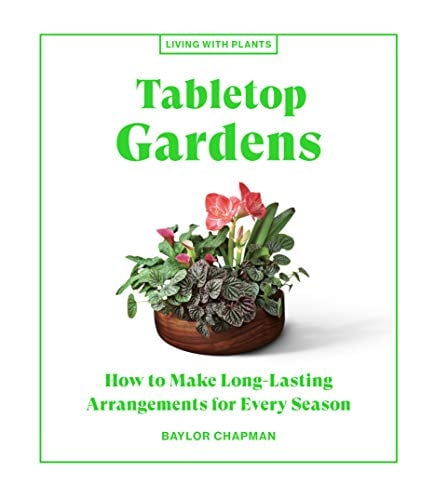 Tabletop Gardens: How to Make Long-Lasting Arrangements for Every Season