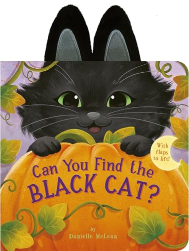Can You Find the Black Cat? With Flaps to Lift!