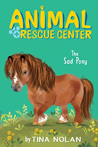 The Sad Pony (Animal Rescue Center)