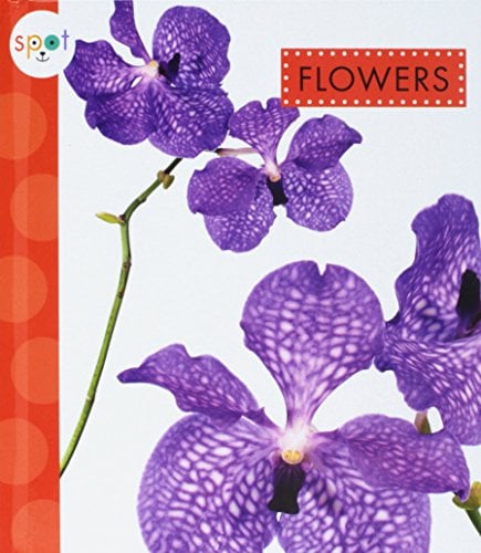 Flowers (Spot Awesome Nature)