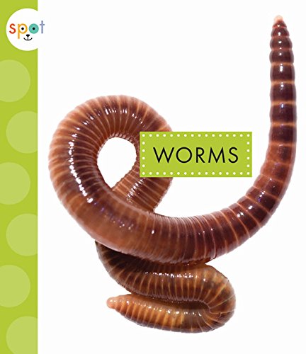 Worms (Spot Creepy Crawlies)
