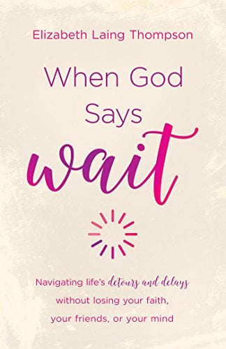 When God Says Wait: Navigating Lif's Detours and Delays Without Losing Your Fairth, Your Friends, or Your Mind