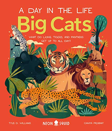 Big Cats (A Day in the Life...)