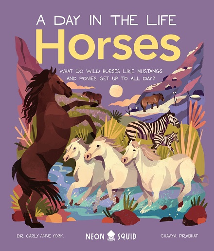 Horses: What Do Wild Horses like Mustangs and Ponies Get Up To All Day? (A Day in the Life)