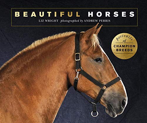 Beautiful Horses: Portraits of Champion Breeds (Beautiful Animals)