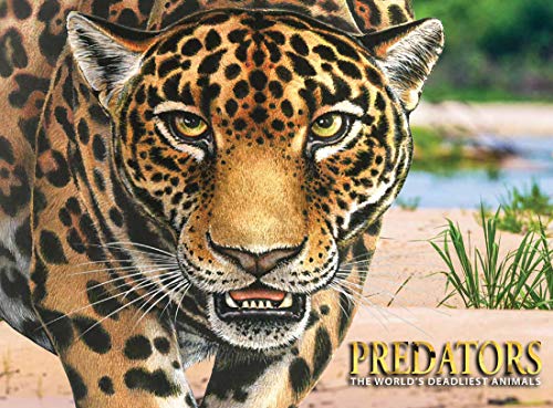 Predators: The World's Deadliest Animals