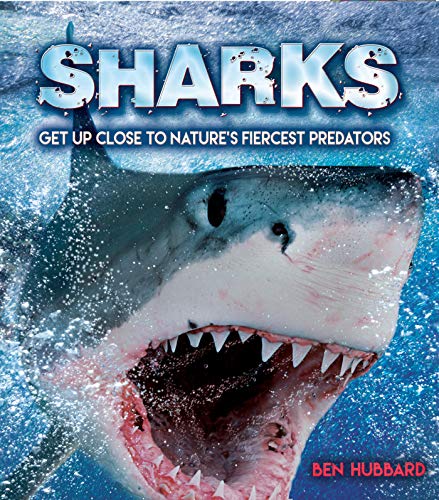 Sharks: Get Up Close to Nature's Fiercest Predators