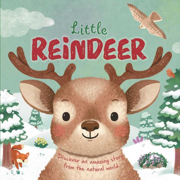 Little Reindeer (Nature Stories)