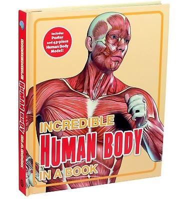 Incredible Human Body in a Book