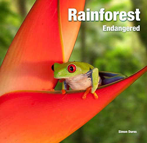 Rainforest: Endangered (Abandoned Places)