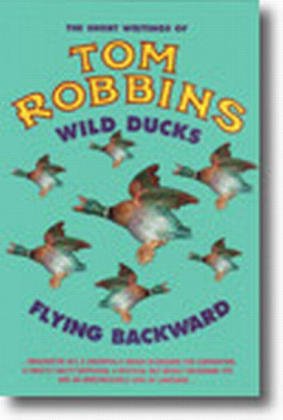 Wild Ducks Flying Backward