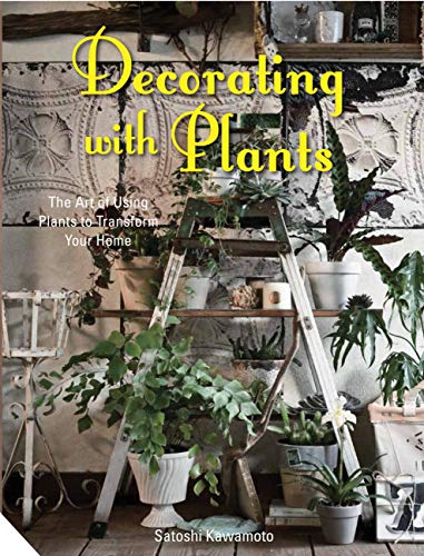 Decorating with Plants: The Art of Using Plants to Transform your Home