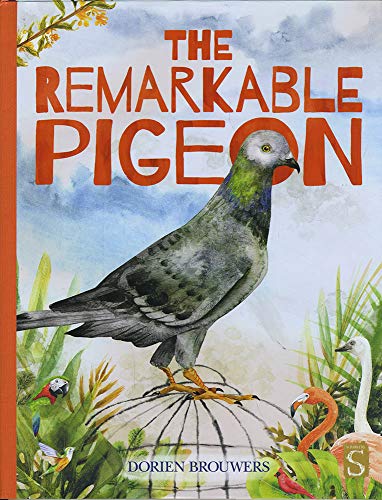 The Remarkable Pigeon