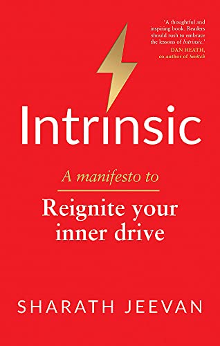 Intrinsic: A Manifesto to Reignite Your Inner Drive
