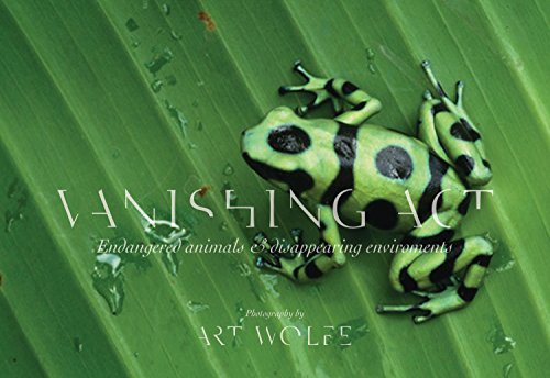 Vanishing Act: The Artistry of Animal Camouflage