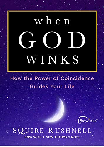 When God Winks: How the Power of Coincidence Guides Your Life (The Godwink Series)